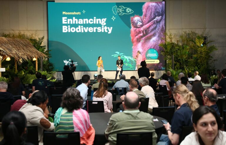 Advancing Impact: Putting strategy to action through Moonshots and Accelerators  